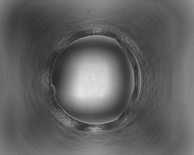 X0000083660509200702121219