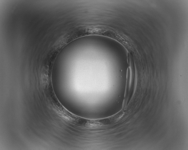 X0000083660510200702121219