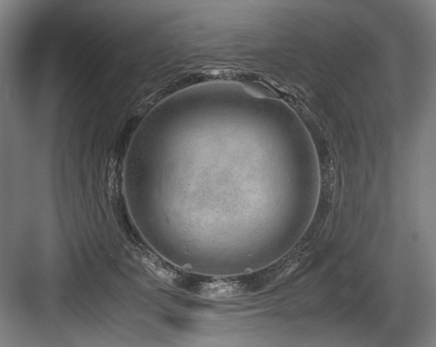 X0000083660511200702121219