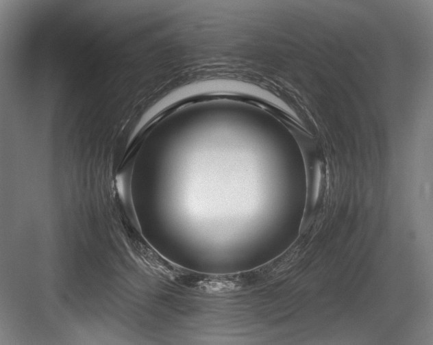 X0000083660512200702121219