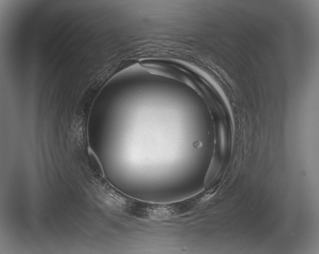 X0000083660513200702121219