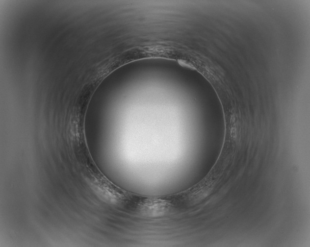 X0000083660514200702121219