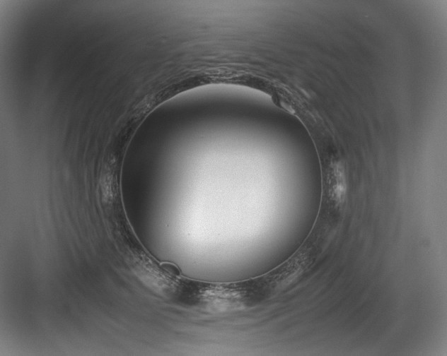X0000083660515200702121219