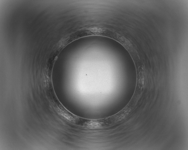 X0000083660518200702121219