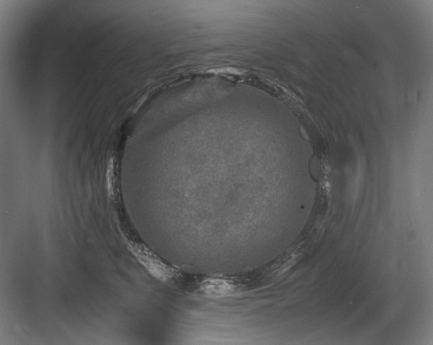 X0000083660519200702121219