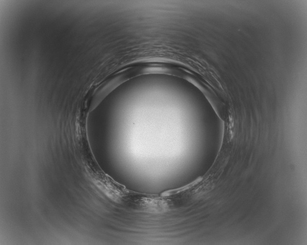 X0000083660520200702121219