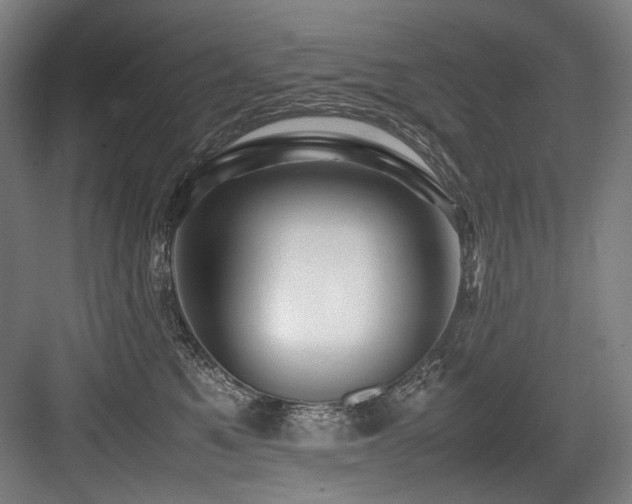 X0000083660521200702121219