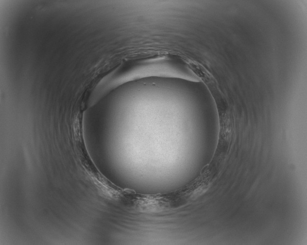 X0000083660523200702121219