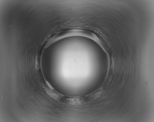X0000083660524200702121219