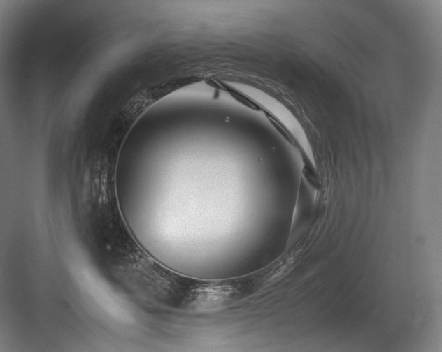 X0000083660525200702121219