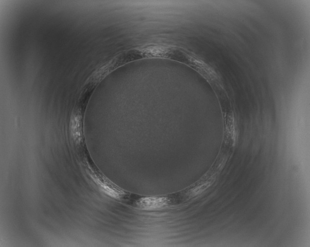 X0000083660526200702121219