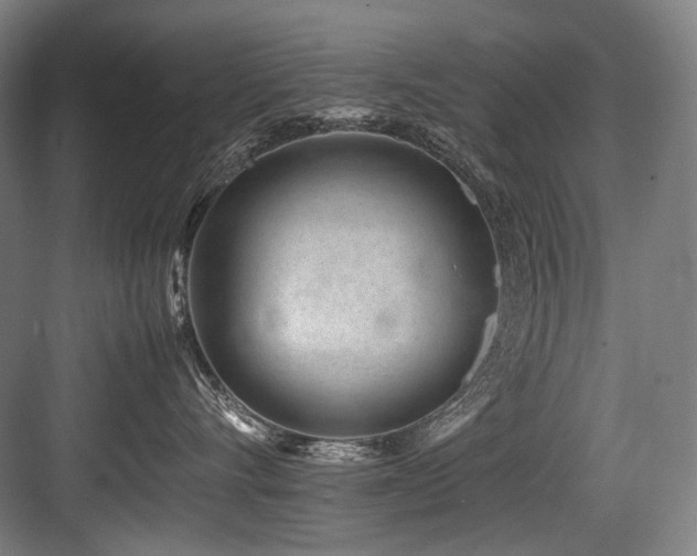 X0000083660528200702121219