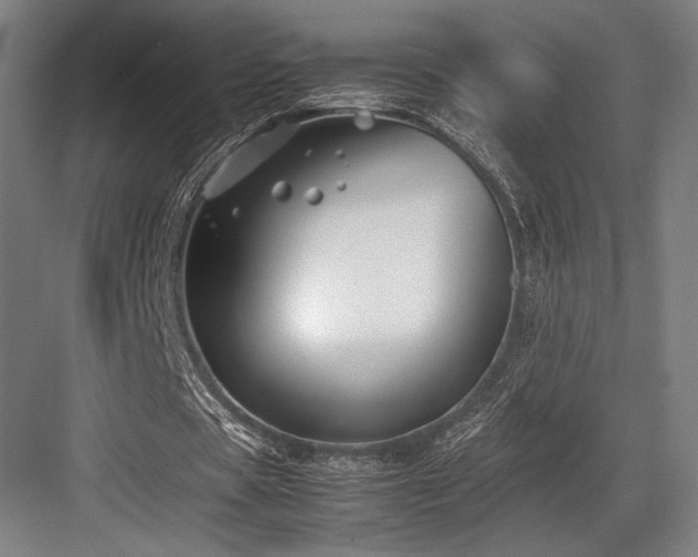 X0000083660529200702121218