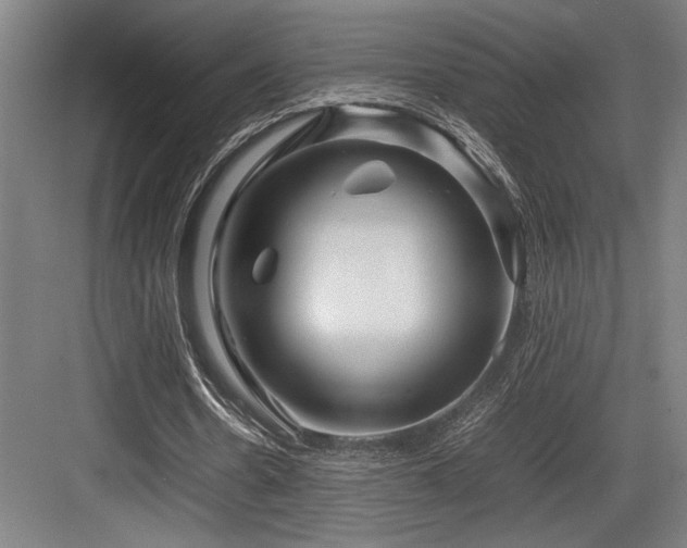 X0000083660530200702121218