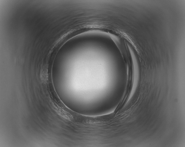 X0000083660531200702121218