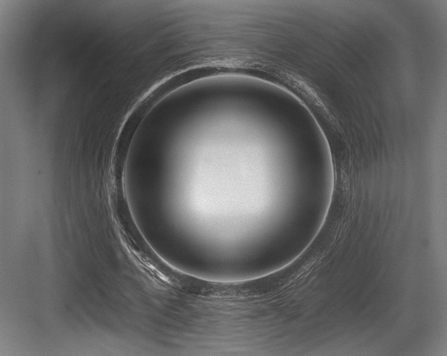 X0000083660532200702121218