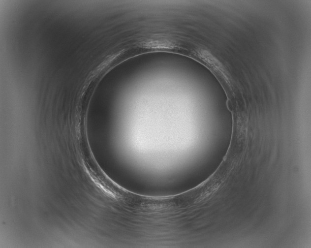 X0000083660533200702121218