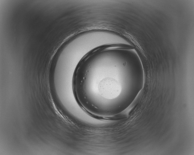X0000083660534200702121218