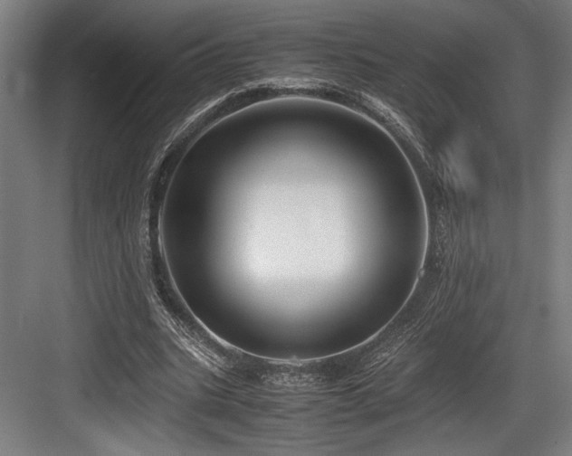 X0000083660535200702121218