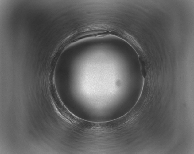 X0000083660538200702121218