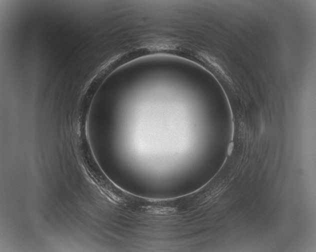 X0000083660539200702121218