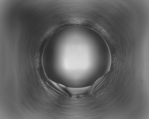 X0000083660544200702121218