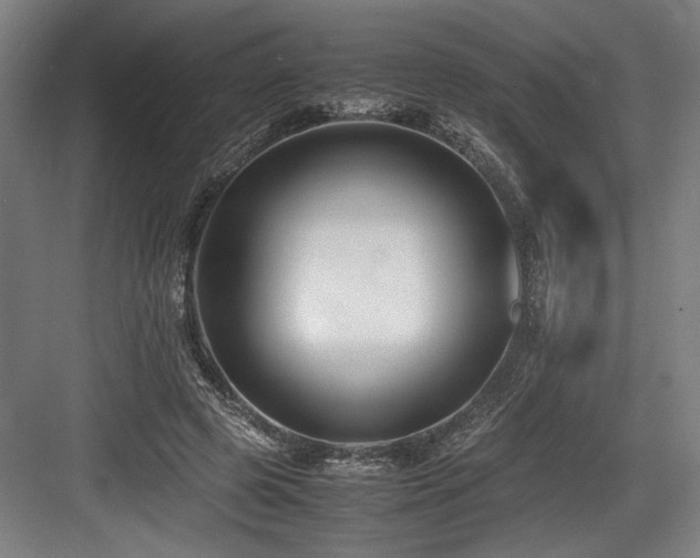 X0000083660545200702121218