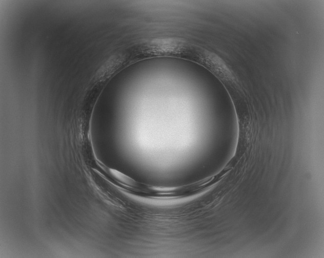 X0000083660546200702121218