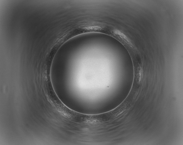 X0000083660547200702121218