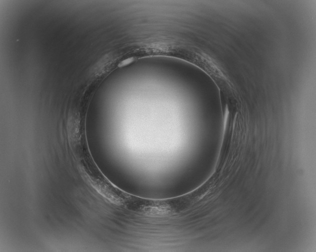 X0000083660548200702121218