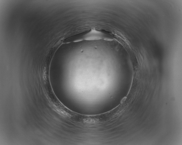 X0000083660549200702121218