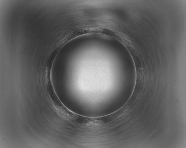 X0000083660550200702121218