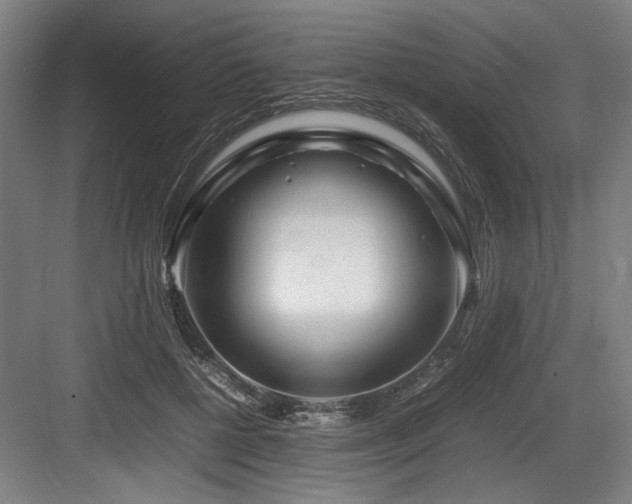 X0000083660552200702121219