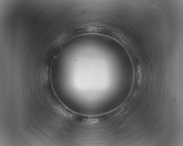 X0000083660554200702121219