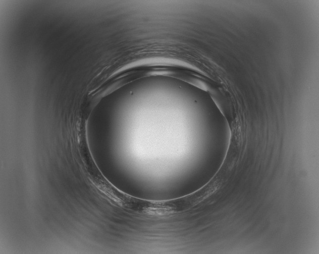 X0000083660556200702121219