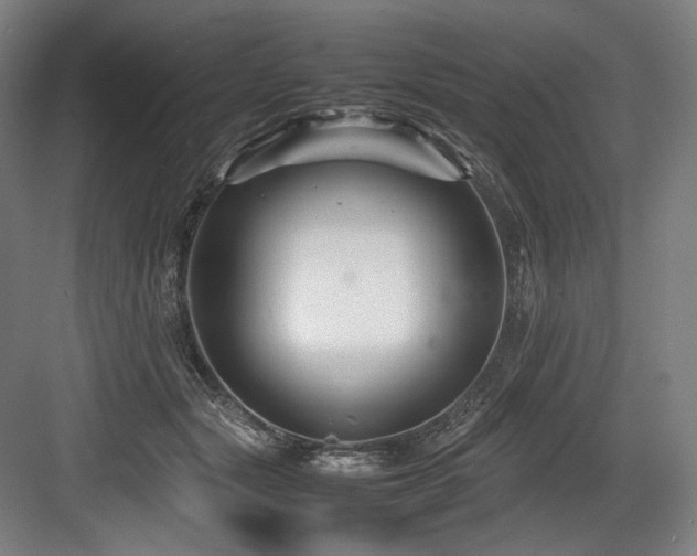 X0000083660557200702121219
