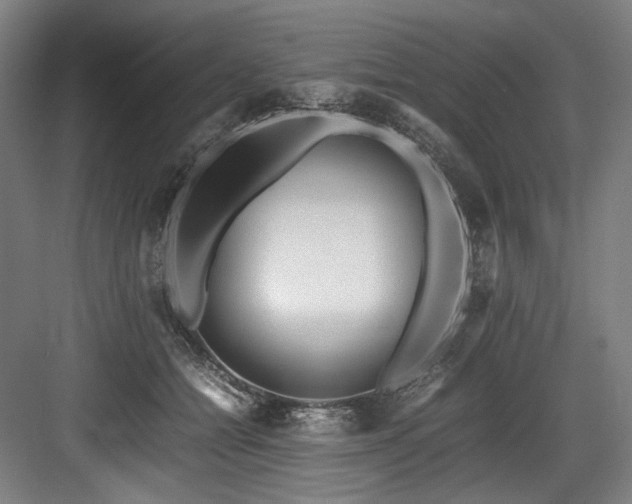 X0000083660558200702121219