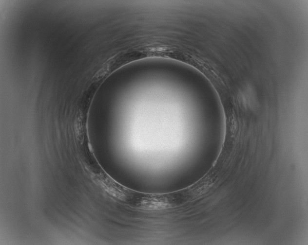 X0000083660559200702121219