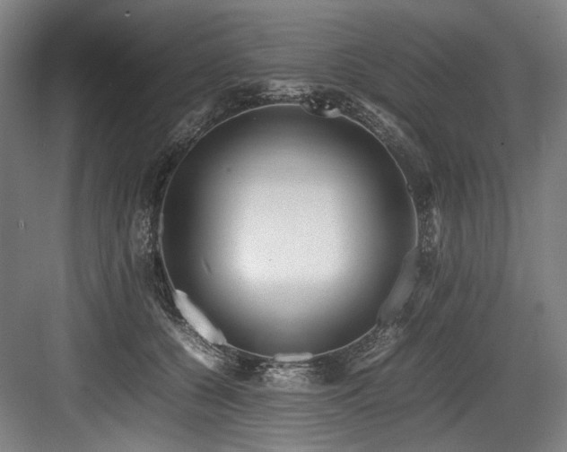 X0000083660560200702121219