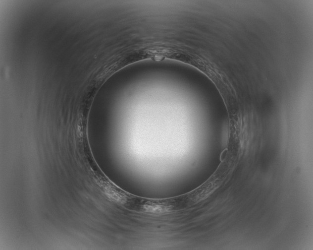 X0000083660561200702121219