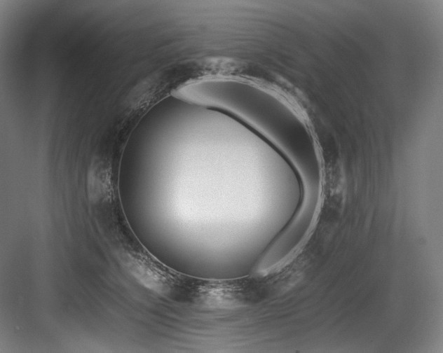 X0000083660564200702121219