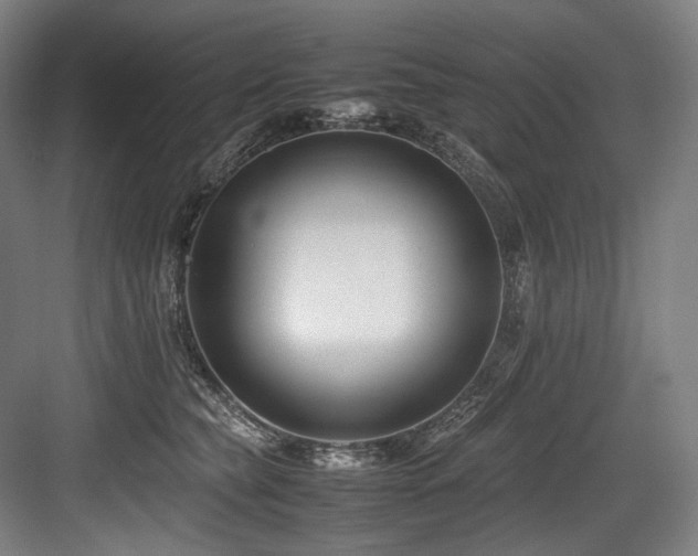 X0000083660565200702121219