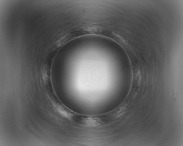 X0000083660566200702121219