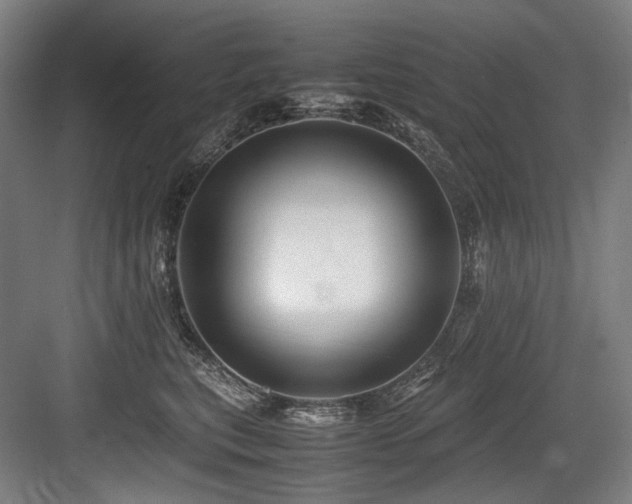 X0000083660567200702121219