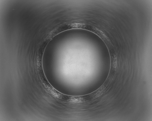 X0000083660569200702121219