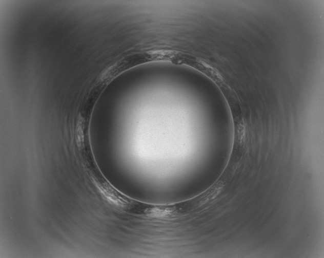 X0000083660570200702121219