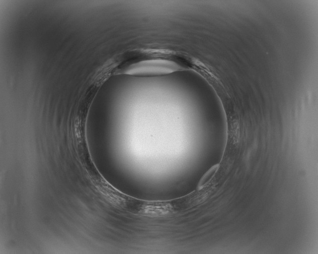 X0000083660571200702121219