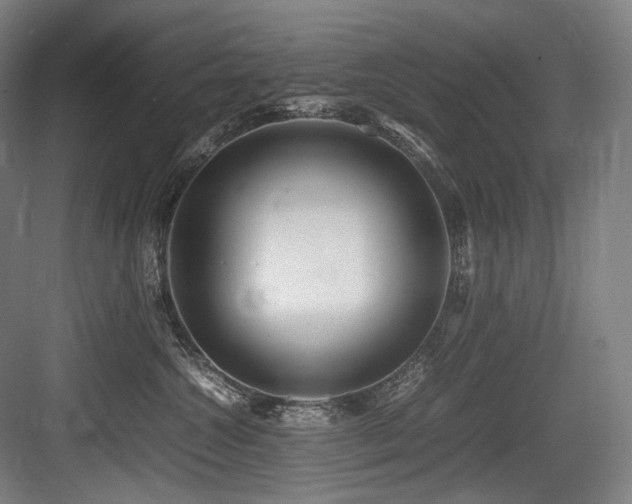 X0000083660572200702121219