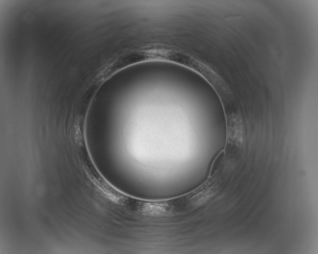 X0000083660573200702121219