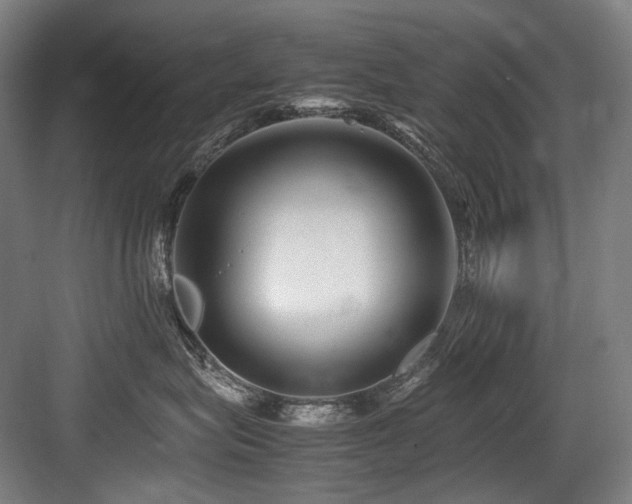 X0000083660575200702121219